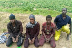 150 terrorists surrender as military pressure mounts in North-East