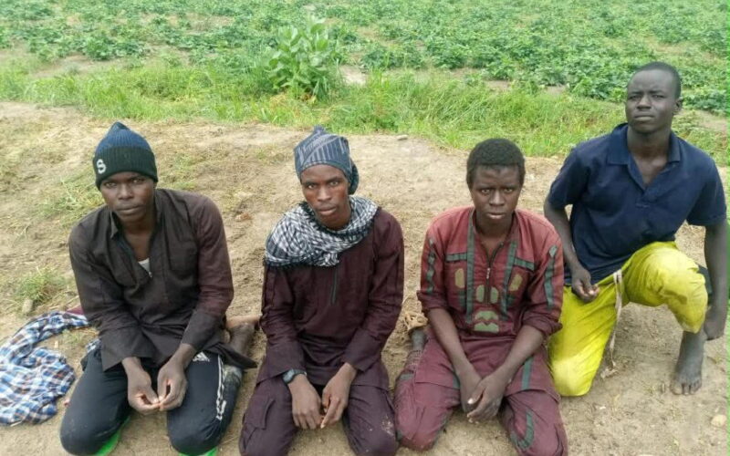 150 terrorists surrender as military pressure mounts in North-East
