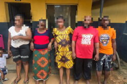 Police bust baby factory in Ogun, rescue two pregnant women, 4 children