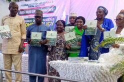 FG unveils five-year plan to curb alcohol-related harm