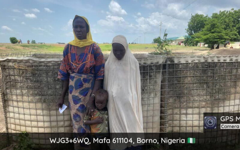 Terrorist family member, two children surrender to troops in Borno