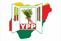 2027: I’ll do things differently as president, YPP candidate, Agada