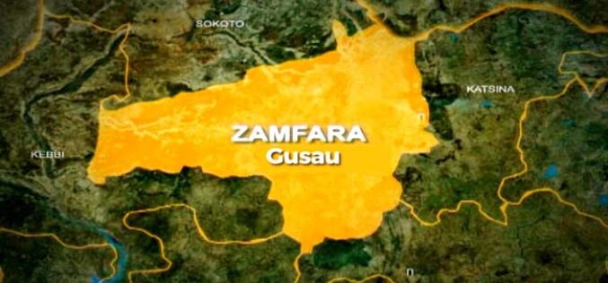 Diphtheria outbreak: Zamfara records 44 deaths, suspends school resumption