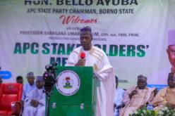 Security, others consumed 70% of Borno’s budget in 7 years — Zulum