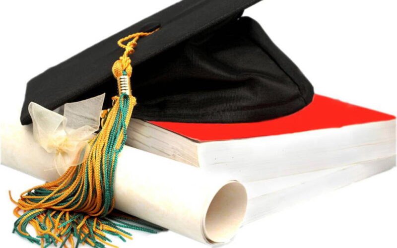 Education: When high fee doesn’t mean better academic performance