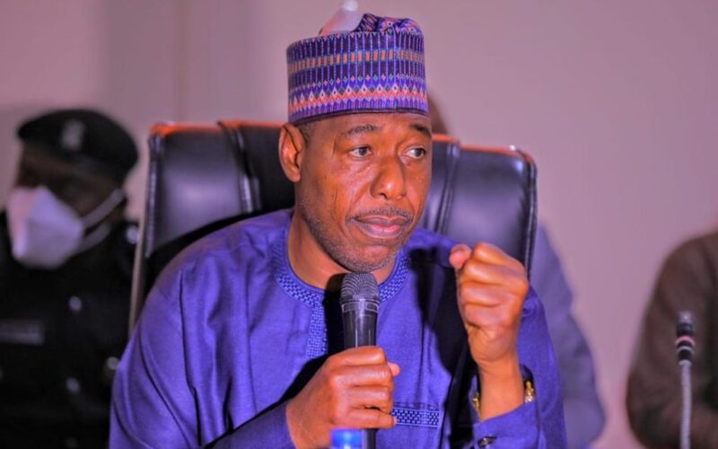 100-Day Captives: FG, Borno intensify efforts to rescue 44 pupils