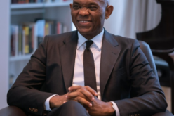 Video: Elumelu corrects lady addressing him by first name