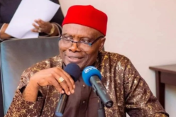 Adeleke’s victory may be APC smokescreen ahead of 2027 — Wabara