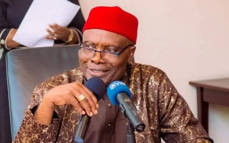 Adeleke’s victory may be APC smokescreen ahead of 2027 — Wabara