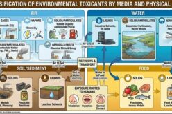 Beyond Traditional Cardiovascular Risk Factors: Toxic Shadows And The Heart-Habitat Interface