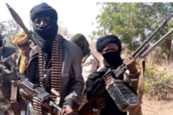 Bandits demand N500,000 from Benue farmer before harvesting crops