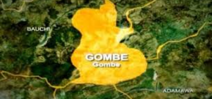 Gombe PDP politicising diphtheria outbreak — APC