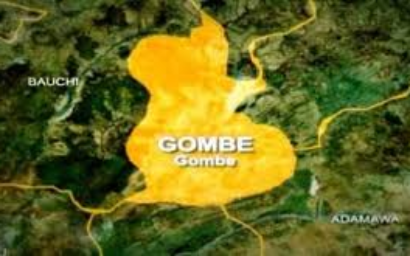 Gombe approves N530m for education, GSU, market relocation