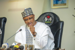Insecurity: How we recovered over 500,000 hectares of farmland from bandits - Kaduna Govt