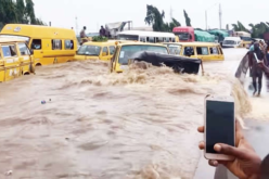 High riverine flood to hit Kaduna, Niger, 31 other states in 7 days – NiHSA