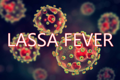 Lassa fever: 237 dead as fatality rate rises to 23.7%