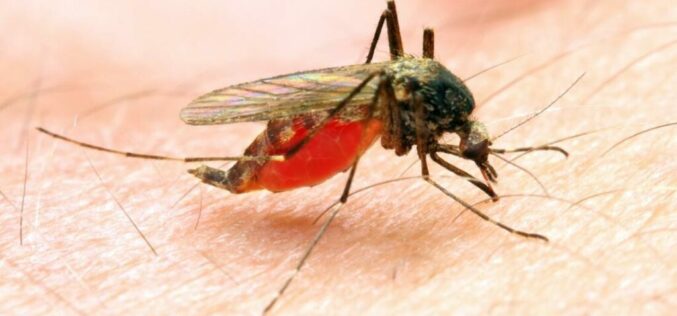 Benue approves N294.5m counterpart fund for 2026 malaria campaign