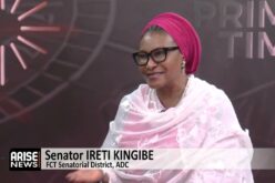 Ireti Kingibe: Abuja Flooding Due To Construction On Green Areas, Flood Channels