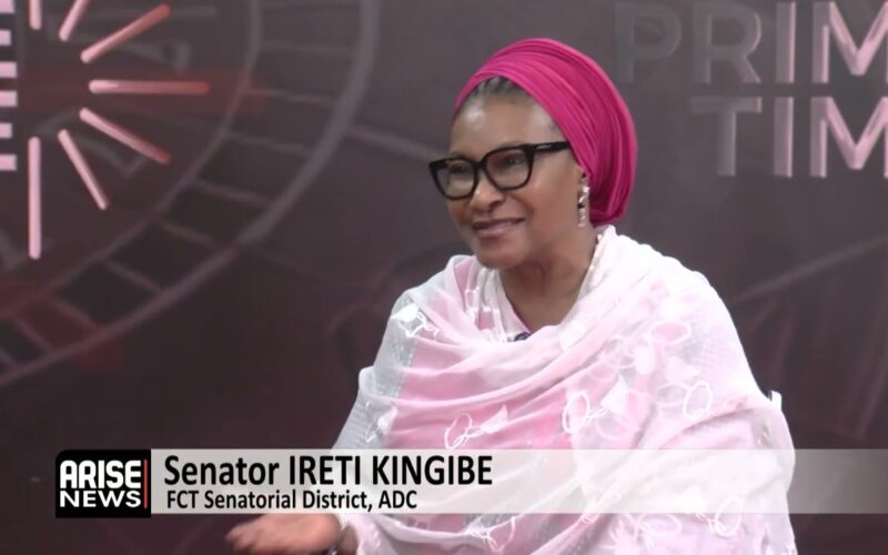 Ireti Kingibe: Abuja Flooding Due To Construction On Green Areas, Flood Channels