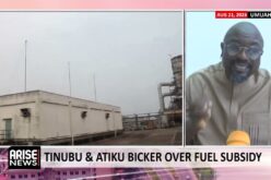 Uwakwe: Nigeria Must Not Return To Poorly Designed, Corrupt Subsidy Regime