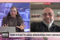 Ugochukwu Anyiam: Nigeria Must Negotiate With South Africa To Stop Airport Arrest Of Citizens 