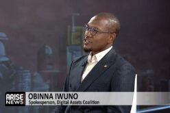 Obinna Iwuno: Nigeria Should Tax Profits, Not Gross Transactions