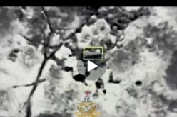 NAF air strikes kill nine ISWAP fighters, commander in Borno