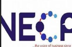Subsidy Savings: Account for ₦10.4tn received, NECA tells states, LGs