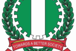 AANI backs NIPSS push to unlock Nigeria’s creative economy