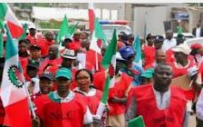 Ogun Labour Crisis: 580 WEMPCO workers allegedly evicted at gunpoint