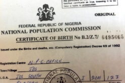 How to apply for birth, death certificates online as FG launches portal