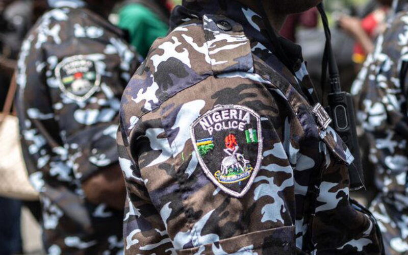 Oyo Police bust alleged human parts syndicate, recover heart, skull, others