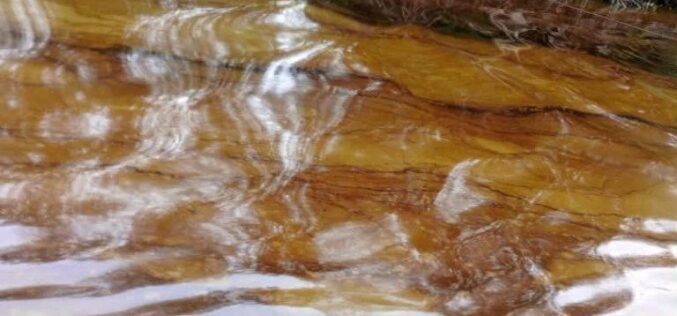 Oil spill hits 216 Delta communities, fish prices rise