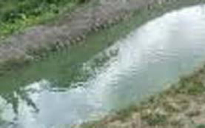 18-year-old dies after falling into pond in Kano