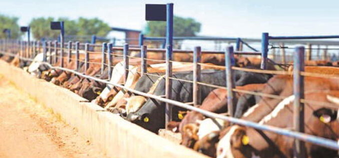 Catholic priests reject FG’s ranching plan for Benue