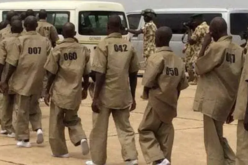 Rate of surrenders by terrorists rise 213% in one week— Military
