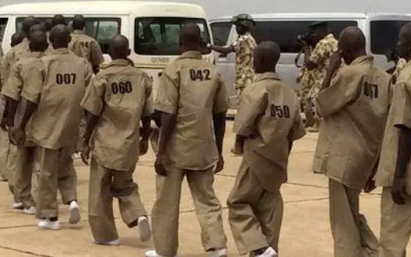 Rate of surrenders by terrorists rise 213% in one week— Military
