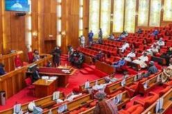 Senate backs EKEDP’s turnaround, seeks solution to sector bottlenecks