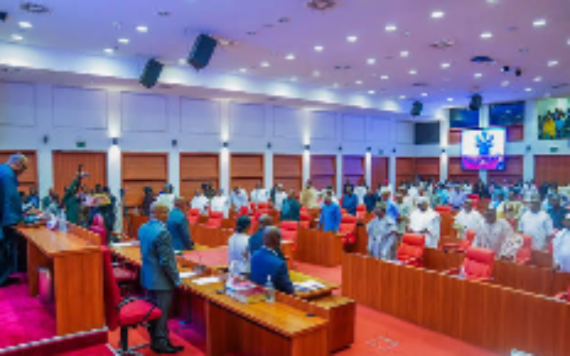 Northern Senators demand immediate release of abducted Borgu residents