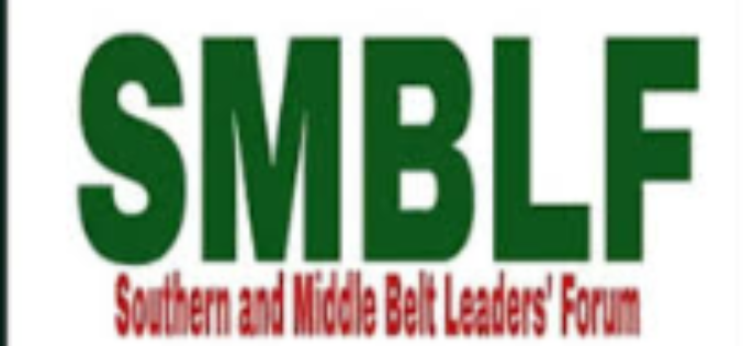 Southern, Middle Belt leaders reject proposed cattle ranching scheme