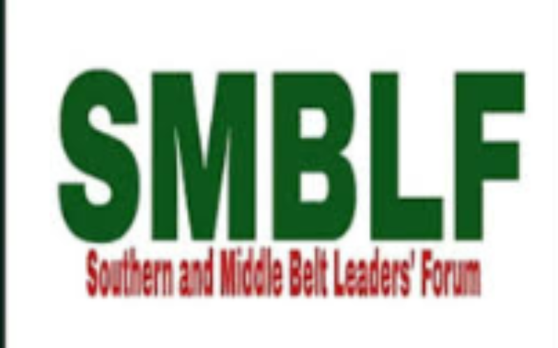 Southern, Middle Belt leaders reject proposed cattle ranching scheme