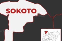 21 feared dead, 37 abducted as terrorists attack Sokoto community