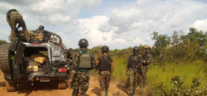 Troops rescue two kidnapped victims, recover 94 livestock in Kaduna, Kano