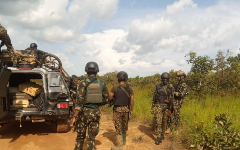 Troops rescue two kidnapped victims, recover 94 livestock in Kaduna, Kano