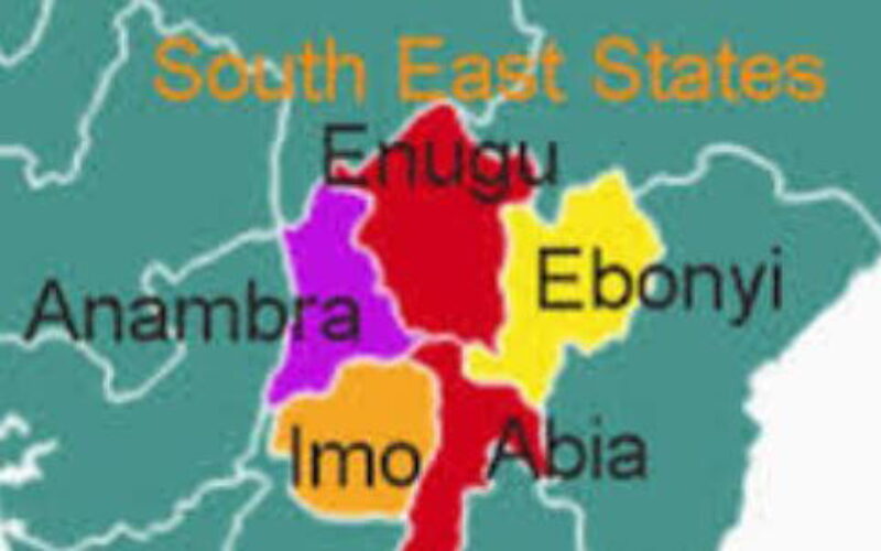 Amnesty raises alarm over missing persons, police abuse in S’East, demands Justice 