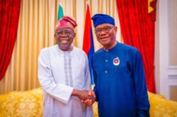 Tinubu, Wike, Akume listed as PFIPC board members, Reps raise questions