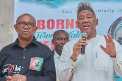‘Am I not Nigerian’? – Baba-Ahmed faults reactions to his ‘criticism’ of Peter Obi