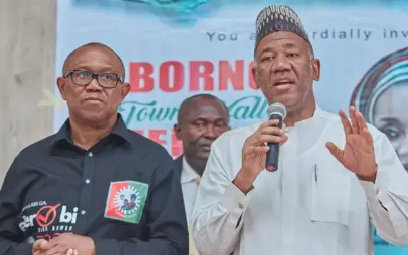 ‘Am I not Nigerian’? – Baba-Ahmed faults reactions to his ‘criticism’ of Peter Obi