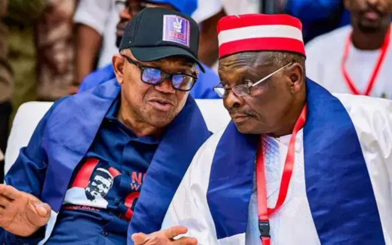 2027: Obi, Kwankwaso Movement unveils 59-member presidential campaign council