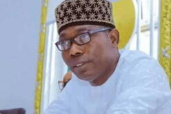 2027: Four years enough to rescue Nigeria — Adebayo Campaign